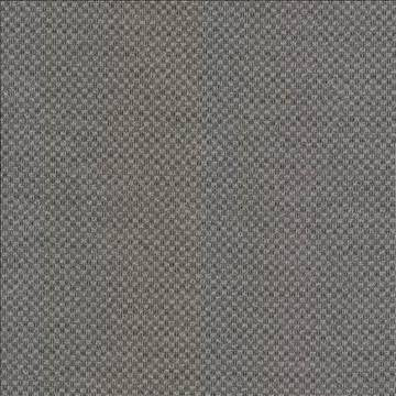 Paquin Oxford by Kasmir Fabric 5100 55% Cotton 45% Polyester TAIWAN 30,000 Wyzenbeek Double Rubs H: 4/8 inches, V: 4/8 inches 54 - 55 - Fabric Carolina - Kasmir