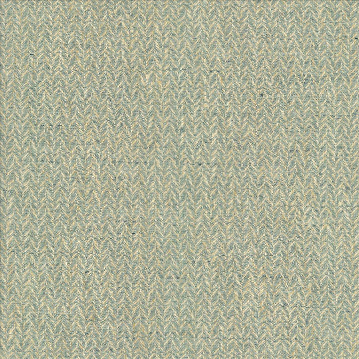 Parapet Lagoon by Kasmir Fabric 1464 100% Polyester
 INDIA </p><p>Repeat: Horizontal: N/A and Vertical: N/A 54 - Fabric Carolina -