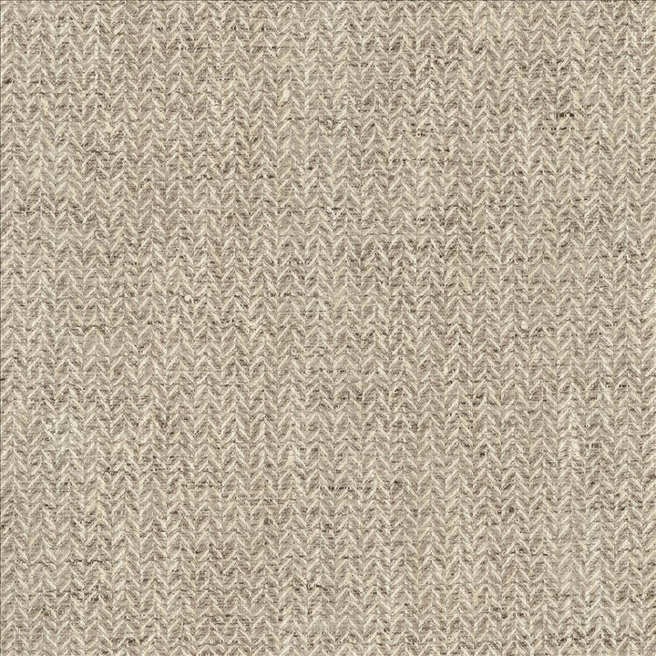 Parapet Mountain by Kasmir Fabric 1462 100% Polyester
 INDIA </p><p>Repeat: Horizontal: N/A and Vertical: N/A 54 - Fabric Carolina -