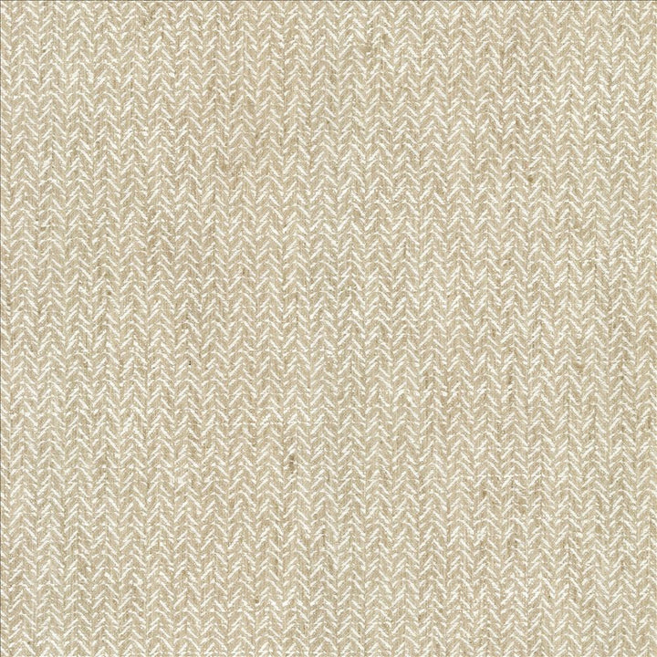 Parapet Sand by Kasmir Fabric 1462 100% Polyester
 INDIA 100,000 Wyzenbeek Double Rubs Horizontal: N/A and Vertical: N/A 54 - Fabric Carolina -