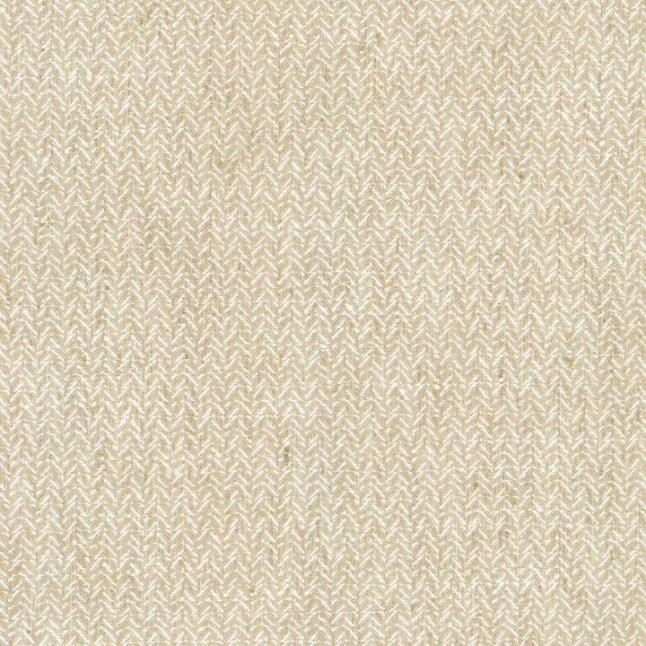 Parapet Sand by Kasmir Fabric 1462 100% Polyester
 INDIA </p><p>Repeat: Horizontal: N/A and Vertical: N/A 54 - Fabric Carolina -