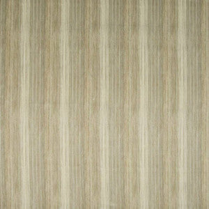 Park Place Nutria by Kasmir Fabric