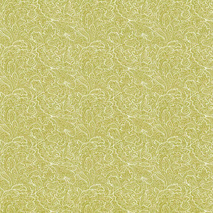 Parterre Lime by Kasmir Fabric