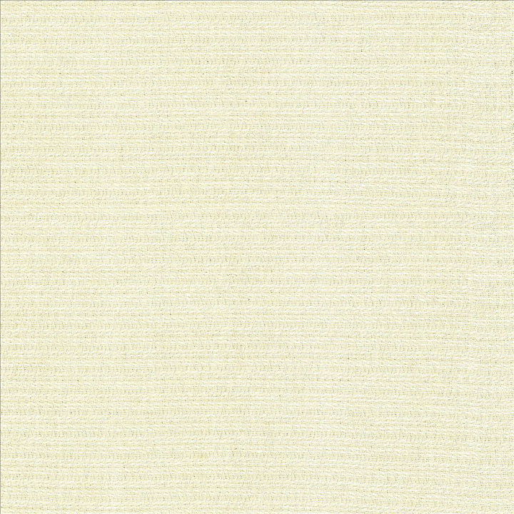 Patter Bleach by Kasmir Fabric 5120 79% Recycled Cotton
21% Polyester
 USA </p><p>Repeat: Horizontal: 2/8 inches and Vertical: 6/8 inches 54 - Fabric Carolina -
