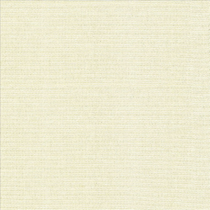 Patter Bleach by Kasmir Fabric 5120 79% Recycled Cotton
21% Polyester
 USA 12,000 Wyzenbeek Double Rubs </p><p>Repeat: Horizontal: 2/8 inches and Vertical: 6/8 inches 54 - Fabric Carolina -