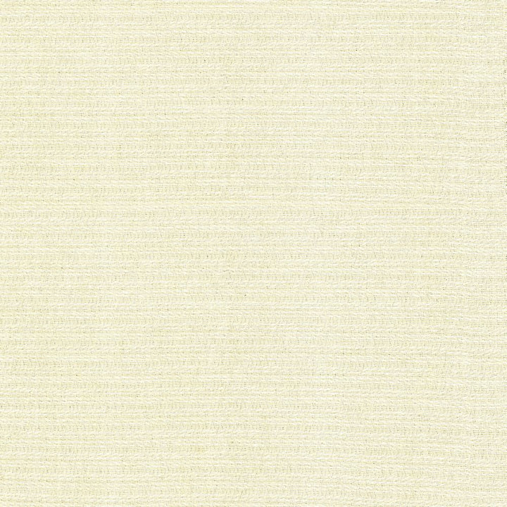 Patter Bleach by Kasmir Fabric 5120 79% Recycled Cotton
21% Polyester
 USA </p><p>Repeat: Horizontal: 2/8 inches and Vertical: 6/8 inches 54 - Fabric Carolina -