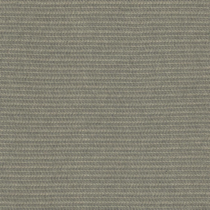 Patter Gray by Kasmir Fabric 5120 79% Recycled Cotton
21% Polyester
 USA </p><p>Repeat: Horizontal: 2/8 inches and Vertical: 6/8 inches 54 - Fabric Carolina -