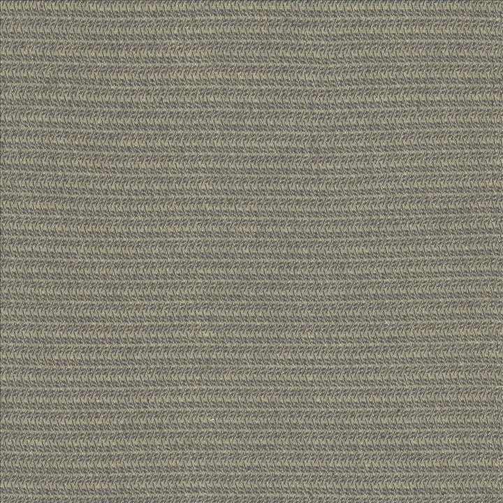 Patter Gray by Kasmir Fabric 5120 79% Recycled Cotton
21% Polyester
 USA </p><p>Repeat: Horizontal: 2/8 inches and Vertical: 6/8 inches 54 - Fabric Carolina -