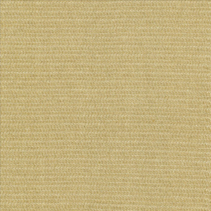 Patter Oatmeal by Kasmir Fabric 5120 79% Recycled Cotton
21% Polyester
 USA 12,000 Wyzenbeek Double Rubs </p><p>Repeat: Horizontal: 2/8 inches and Vertical: 6/8 inches 54 - Fabric Carolina -