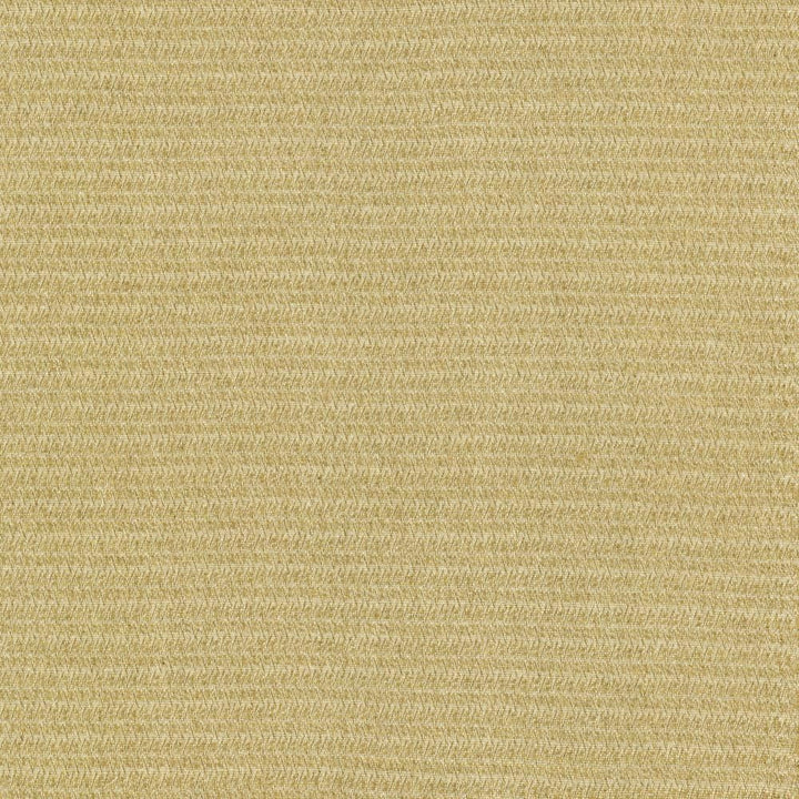 Patter Oatmeal by Kasmir Fabric 5120 79% Recycled Cotton
21% Polyester
 USA </p><p>Repeat: Horizontal: 2/8 inches and Vertical: 6/8 inches 54 - Fabric Carolina -
