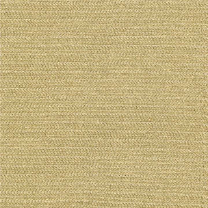 Patter Oatmeal by Kasmir Fabric 5120 79% Recycled Cotton
21% Polyester
 USA </p><p>Repeat: Horizontal: 2/8 inches and Vertical: 6/8 inches 54 - Fabric Carolina -