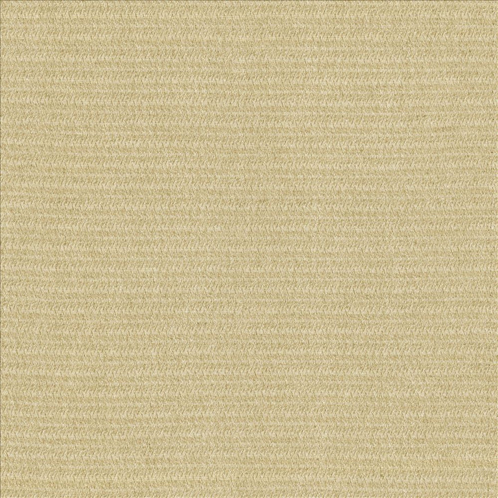 Patter Sand by Kasmir Fabric 5120 79% Recycled Cotton
21% Polyester
 USA </p><p>Repeat: Horizontal: 2/8 inches and Vertical: 6/8 inches 54 - Fabric Carolina -