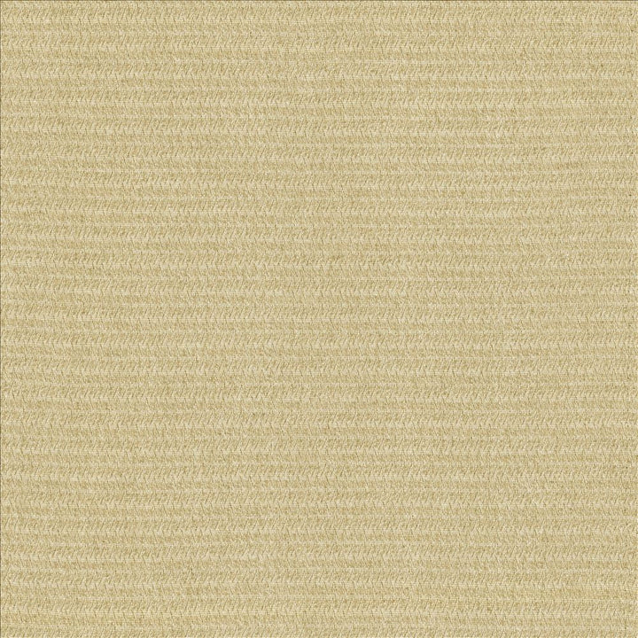 Patter Sand by Kasmir Fabric 5120 79% Recycled Cotton
21% Polyester
 USA 12,000 Wyzenbeek Double Rubs </p><p>Repeat: Horizontal: 2/8 inches and Vertical: 6/8 inches 54 - Fabric Carolina -
