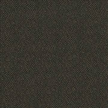 Pave Io Carbon by Kasmir Fabric 1413 100% Acrylic USA 12,000 Wyzenbeek Double Rubs H: N/A, V: N/A 54 - Fabric Carolina - Kasmir
