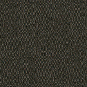 Pave Io Carbon by Kasmir Fabric