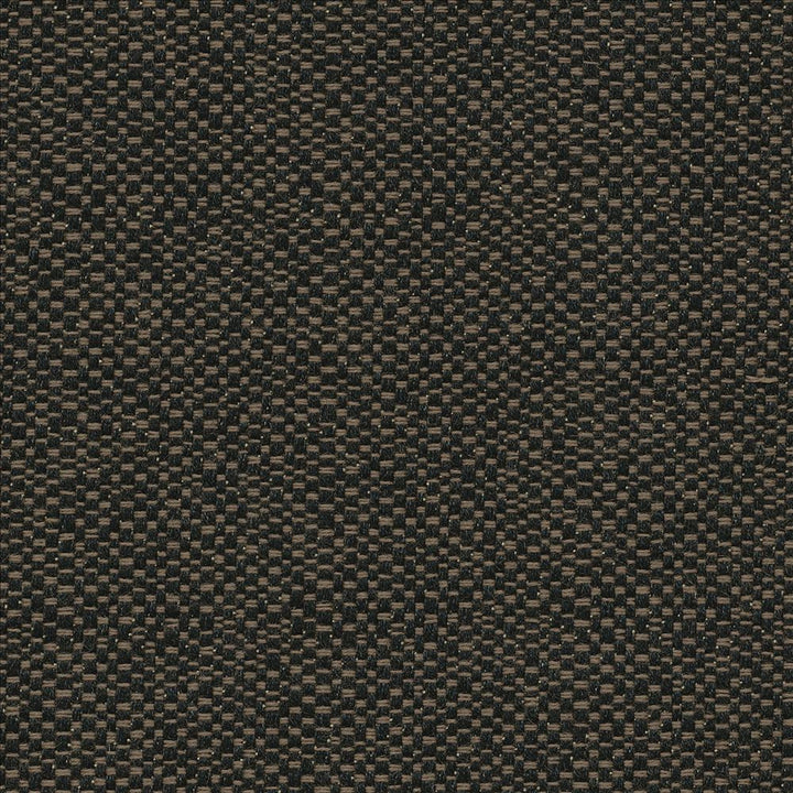 Pave Io Carbon  by Kasmir Fabric See sample 100% Acrylic
 USA 12,000 Wyzenbeek Double Rubs </p><p>Repeat: Horizontal: N/A and Vertical: N/A 54  - Fabric Carolina -