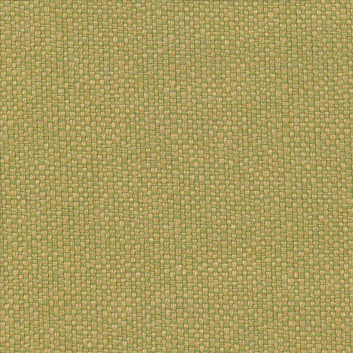 Pave Io Frond by Kasmir Fabric 1413 100% Acrylic
 USA </p><p>Repeat: Horizontal: N/A and Vertical: N/A 54 - Fabric Carolina -