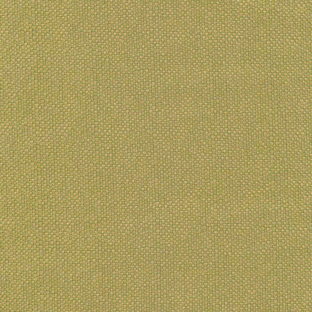 Pave Io Frond by Kasmir Fabric 1413 USA 12,000 Wyzenbeek Double Rubs H: N/A, V:N/A 54 - Fabric Carolina - Kasmir
