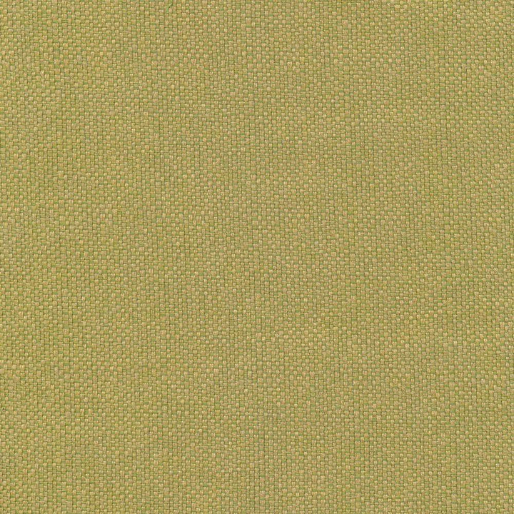 Pave Io Frond by Kasmir Fabric 1413 USA 12,000 Wyzenbeek Double Rubs H: N/A, V:N/A 54 - Fabric Carolina - Kasmir
