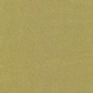 Pave Io Frond by Kasmir Fabric