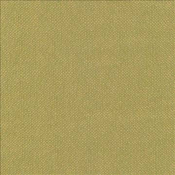Pave Io Frond by Kasmir Fabric 1413 100% Acrylic USA 12,000 Wyzenbeek Double Rubs H: N/A, V: N/A 54 - Fabric Carolina - Kasmir