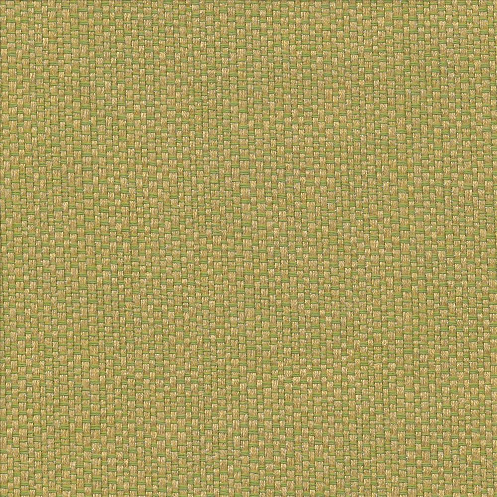 Pave Io Frond by Kasmir Fabric 1413 100% Acrylic
 USA </p><p>Repeat: Horizontal: N/A and Vertical: N/A 54 - Fabric Carolina -