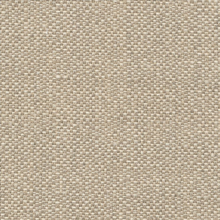 Pave Io Sand Drift by Kasmir Fabric 1413 100% Acrylic
 USA 12,000 Wyzenbeek Double Rubs Horizontal: N/A and Vertical: N/A 54 - Fabric Carolina -