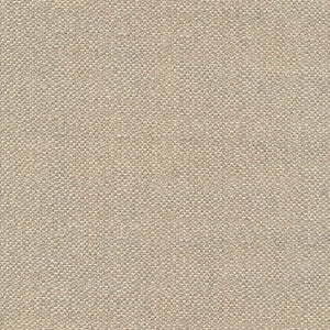 Pave Io Sand Drift by Kasmir Fabric
