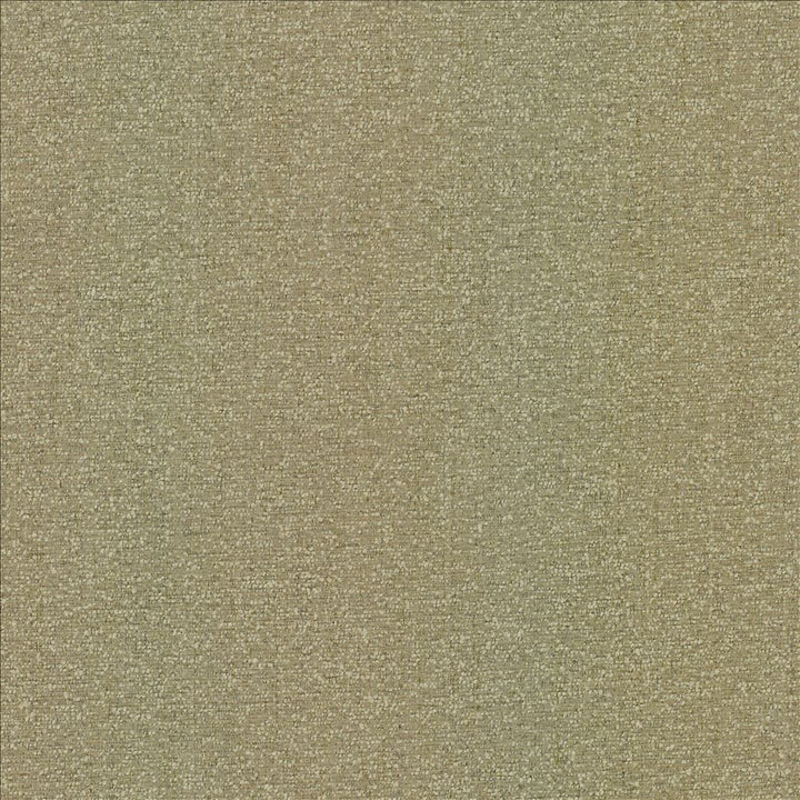 Pecan Grove Linen  by Kasmir Fabric 5185 100% Polyester  CHINA  </p><p>Repeat: Horizontal: N/A and Vertical: N/A 54  - Fabric Carolina -