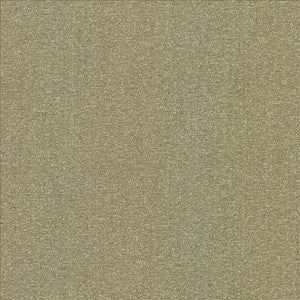 Pecan Grove Linen  by Kasmir Fabric