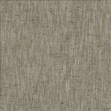 Pediment Coal by Kasmir Fabric 5123 65% Polyester 35% Cotton INDIA 30,000 Wyzenbeek Double Rubs H: 2/8 inches, V: 2/8 inches 55 - Fabric Carolina - Kasmir