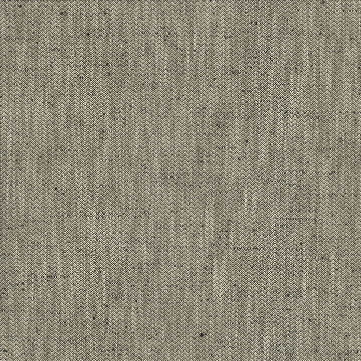 Pediment Coal by Kasmir Fabric 5123 65% Polyester
35% Cotton
 INDIA </p><p>Repeat: Horizontal: 2/8 inches and Vertical: 2/8 inches 55 - Fabric Carolina -