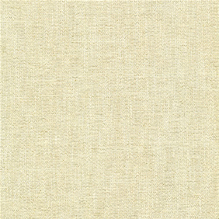 Pediment Papyrus by Kasmir Fabric 5120 65% Polyester
35% Cotton
 INDIA </p><p>Repeat: Horizontal: 2/8 inches and Vertical: 2/8 inches 55 - Fabric Carolina -