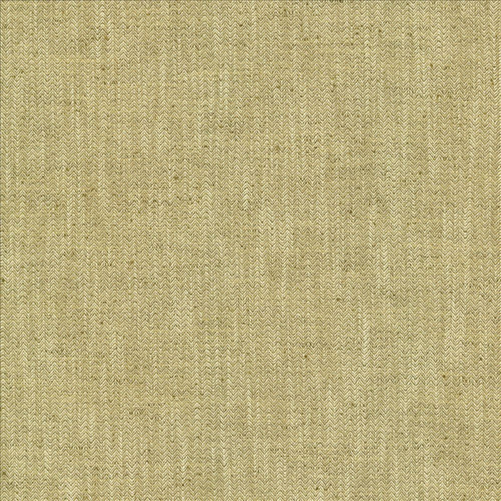 Pediment Sisal by Kasmir Fabric 5120 65% Polyester
35% Cotton
 INDIA </p><p>Repeat: Horizontal: 2/8 inches and Vertical: 2/8 inches 55 - Fabric Carolina -