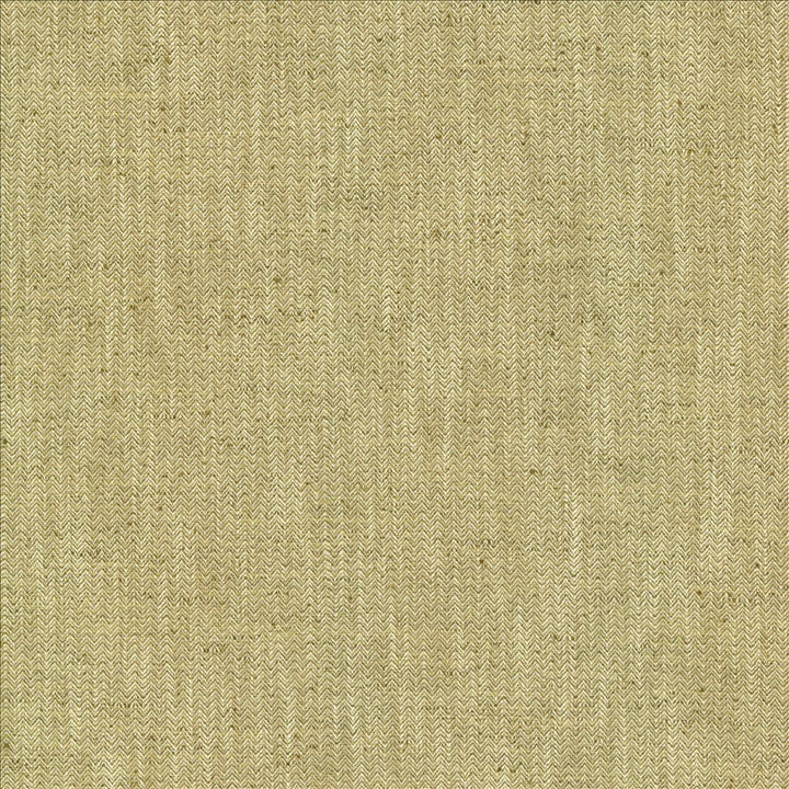 Pediment Sisal  by Kasmir Fabric See sample 65% Polyester
35% Cotton
 INDIA 30,000 Wyzenbeek Double Rubs </p><p>Repeat: Horizontal: 2/8 inches and Vertical: 2/8 inches 55  - Fabric Carolina -