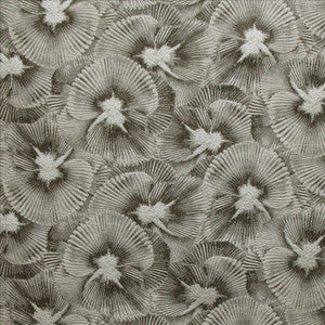 Pegomas Burnish  by Kasmir Fabric