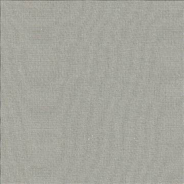 Penthouse Oyster by Kasmir Fabric 1373 100% Polyester ITALY Not Tested H: N/A, V: N/A 118 - Fabric Carolina - Kasmir
