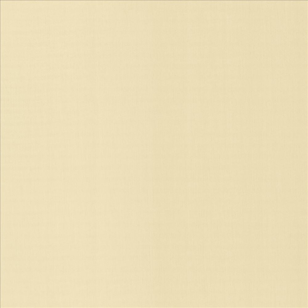 Perception Alabaster by Kasmir Fabric 5174 100% Cotton
 INDIA </p><p>Repeat: Horizontal: N/A and Vertical: N/A 54 - Fabric Carolina -