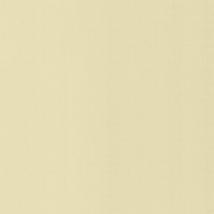 Perception Alabaster by Kasmir Fabric 5174 100% Cotton
 INDIA </p><p>Repeat: Horizontal: N/A and Vertical: N/A 54 - Fabric Carolina -