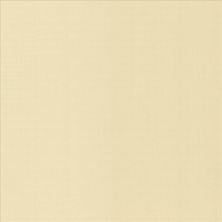 Perception Alabaster by Kasmir Fabric 5174 100% Cotton
 INDIA </p><p>Repeat: Horizontal: N/A and Vertical: N/A 54 - Fabric Carolina -