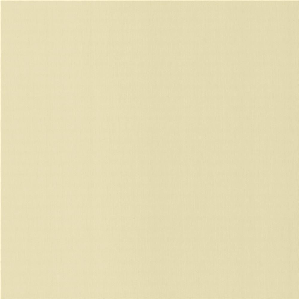 Perception Alabaster by Kasmir Fabric 5174 100% Cotton
 INDIA 21,000 Wyzenbeek Double Rubs </p><p>Repeat: Horizontal: N/A and Vertical: N/A 54 - Fabric Carolina -