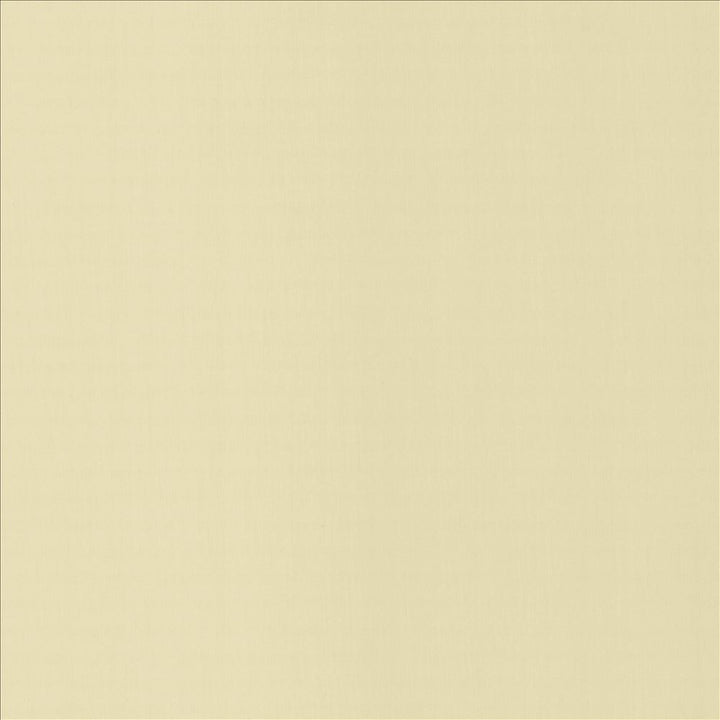 Perception Alabaster by Kasmir Fabric 5174 100% Cotton
 INDIA 21,000 Wyzenbeek Double Rubs </p><p>Repeat: Horizontal: N/A and Vertical: N/A 54 - Fabric Carolina -