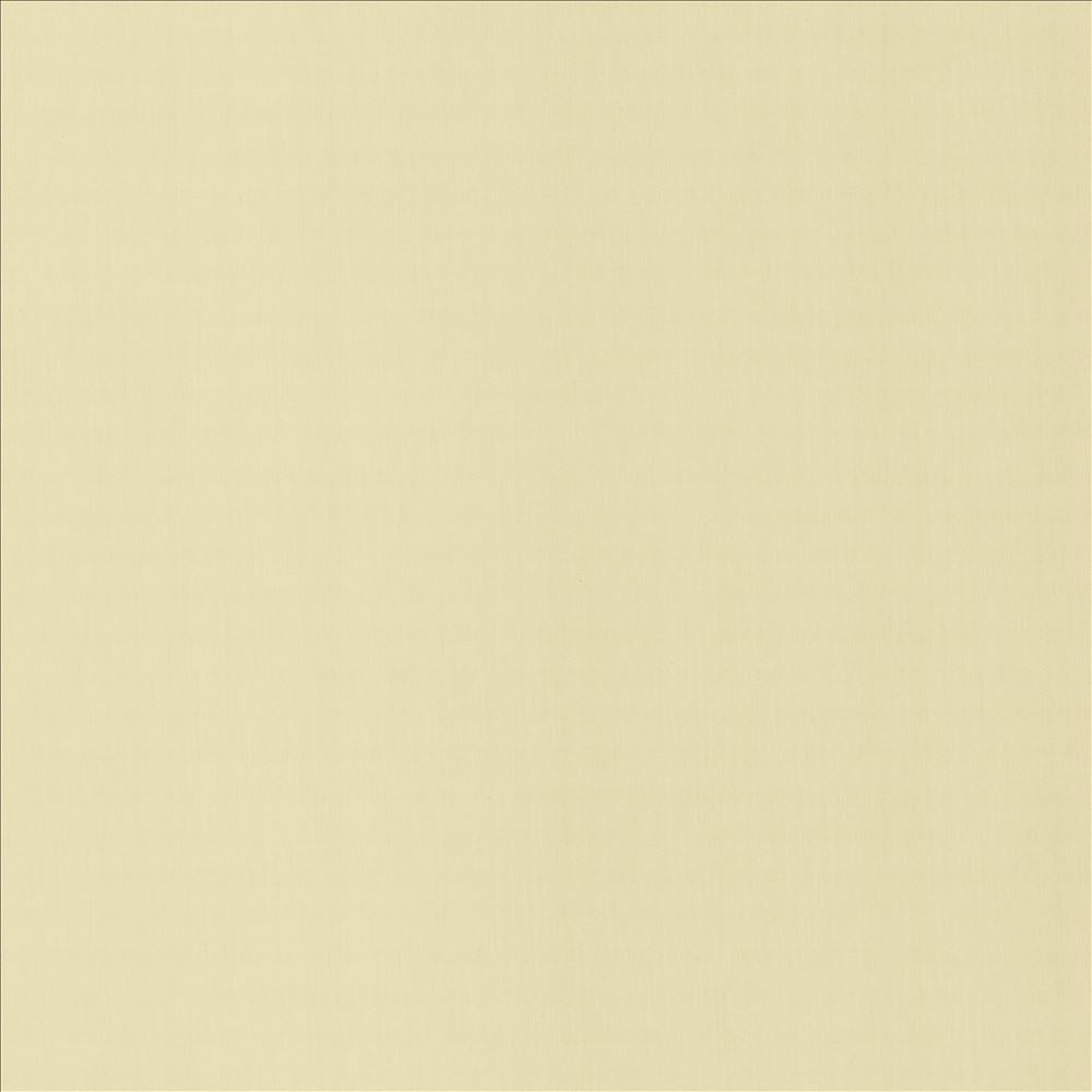 Perception Alabaster by Kasmir Fabric 5174 100% Cotton
 INDIA 21,000 Wyzenbeek Double Rubs Horizontal: N/A and Vertical: N/A 54 - Fabric Carolina -