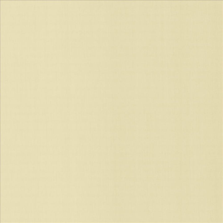 Perception Alabaster by Kasmir Fabric 5174 100% Cotton
 INDIA 21,000 Wyzenbeek Double Rubs Horizontal: N/A and Vertical: N/A 54 - Fabric Carolina -