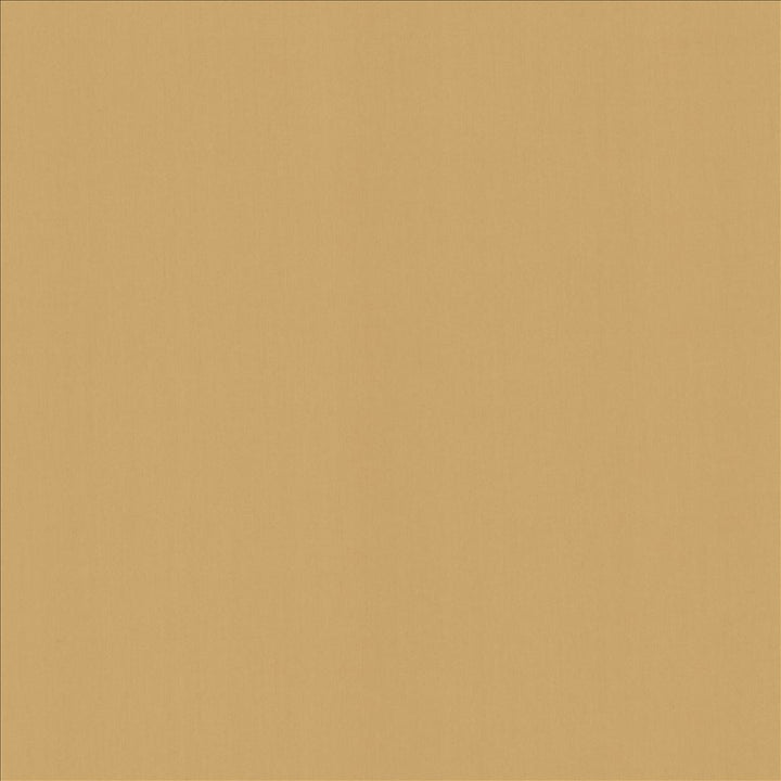 Perception Antique by Kasmir Fabric 5174 100% Cotton
 INDIA </p><p>Repeat: Horizontal: N/A and Vertical: N/A 54 - Fabric Carolina -