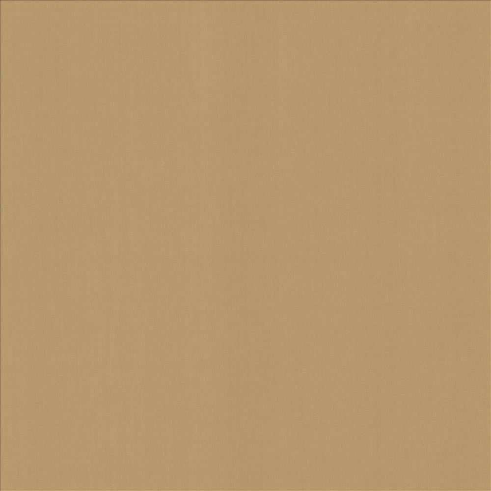 Perception Antique by Kasmir Fabric 5174 100% Cotton
 INDIA 21,000 Wyzenbeek Double Rubs </p><p>Repeat: Horizontal: N/A and Vertical: N/A 54 - Fabric Carolina -