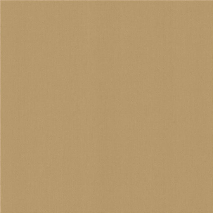 Perception Antique by Kasmir Fabric 5174 100% Cotton
 INDIA 21,000 Wyzenbeek Double Rubs </p><p>Repeat: Horizontal: N/A and Vertical: N/A 54 - Fabric Carolina -
