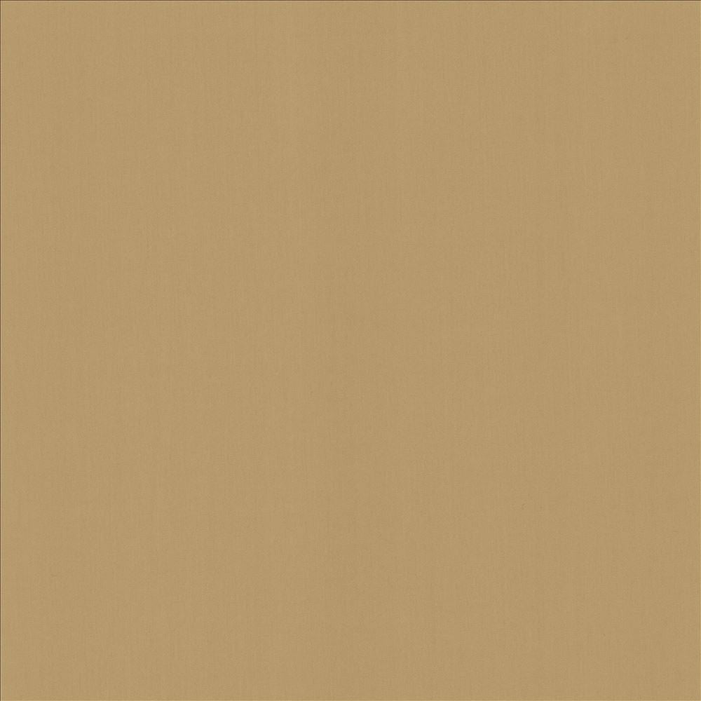 Perception Antique by Kasmir Fabric 5174 100% Cotton
 INDIA 21,000 Wyzenbeek Double Rubs Horizontal: N/A and Vertical: N/A 54 - Fabric Carolina -