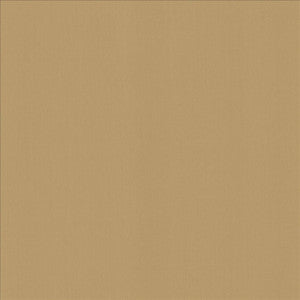 Perception Antique by Kasmir Fabric