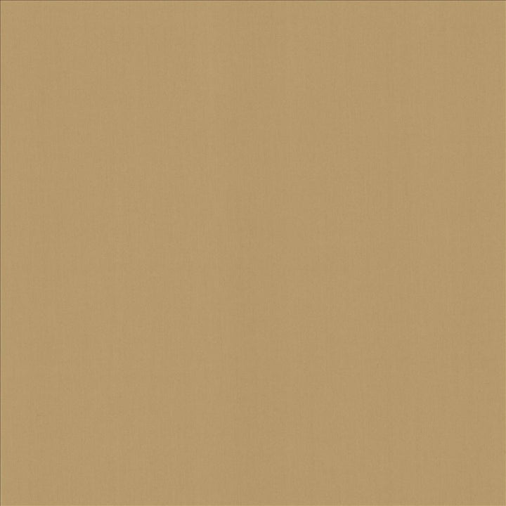 Perception Antique  by Kasmir Fabric See sample 100% Cotton
 INDIA 21,000 Wyzenbeek Double Rubs </p><p>Repeat: Horizontal: N/A and Vertical: N/A 54  - Fabric Carolina -